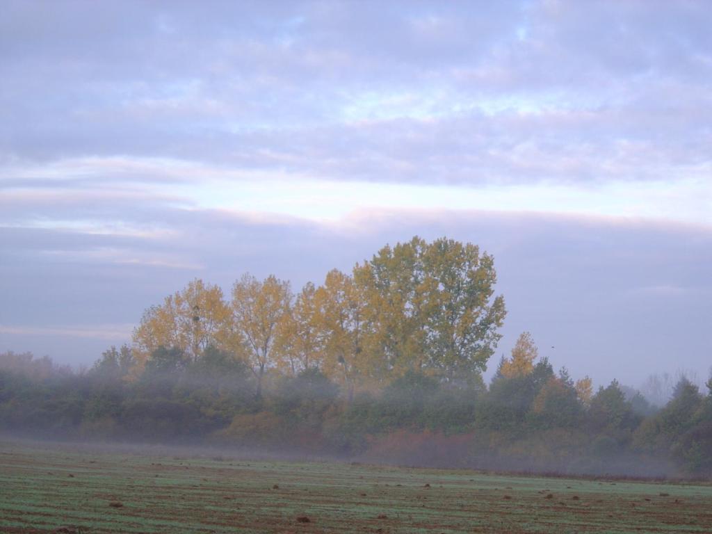Bed and Breakfast Les Trois Chenes Videix Pokoj fotografie